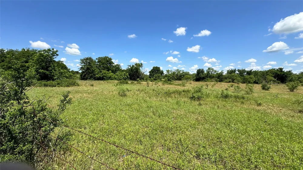 County Road 295 Carbon, TX 76435