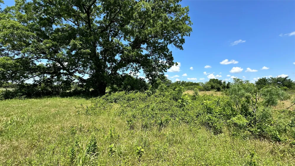 County Road 295 Carbon, TX 76435