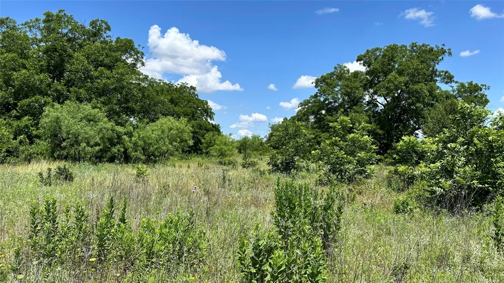 County Road 295 Carbon, TX 76435
