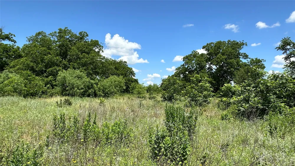 County Road 295 Carbon, TX 76435