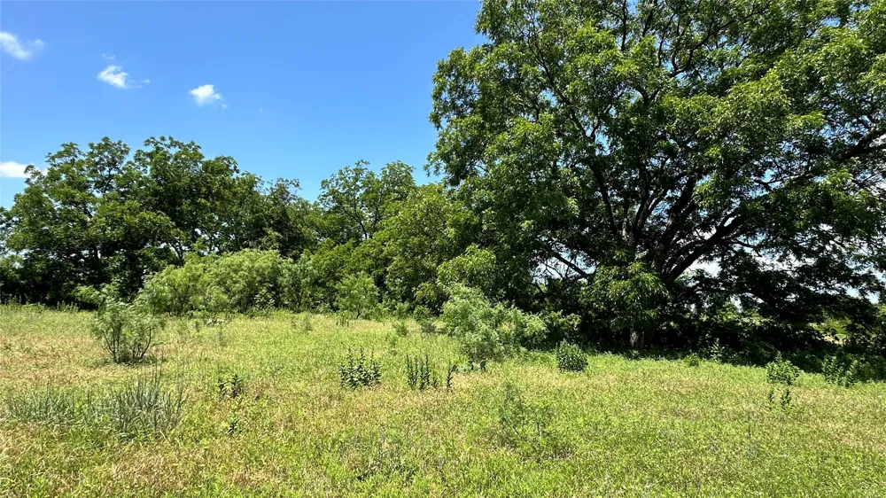 County Road 295 Carbon, TX 76435