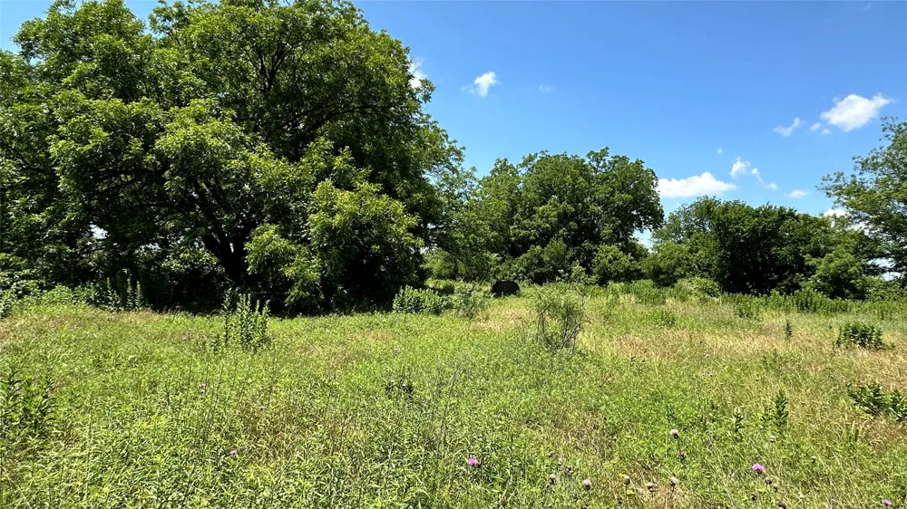 County Road 295 Carbon, TX 76435