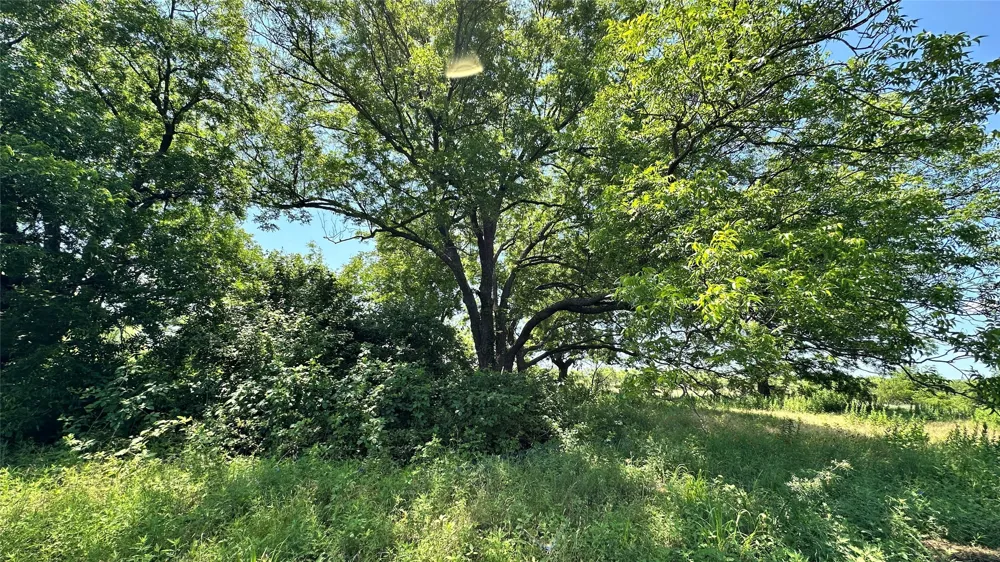 County Road 295 Carbon, TX 76435