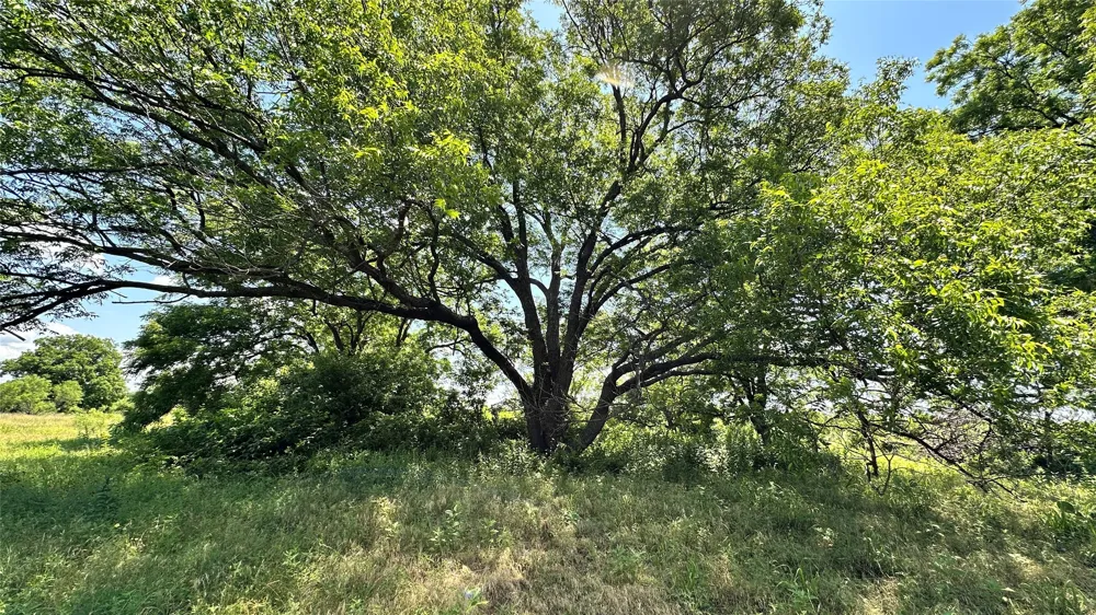 County Road 295 Carbon, TX 76435