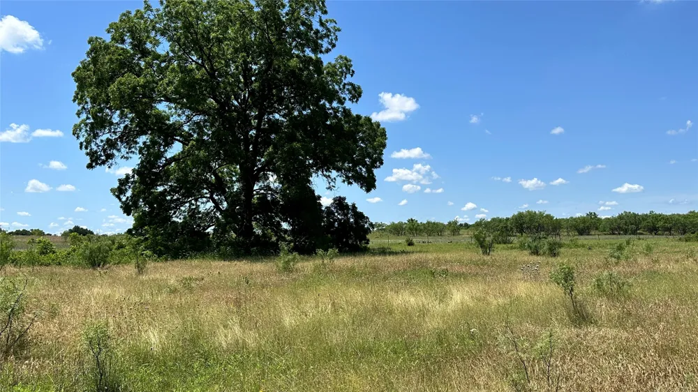 County Road 295 Carbon, TX 76435