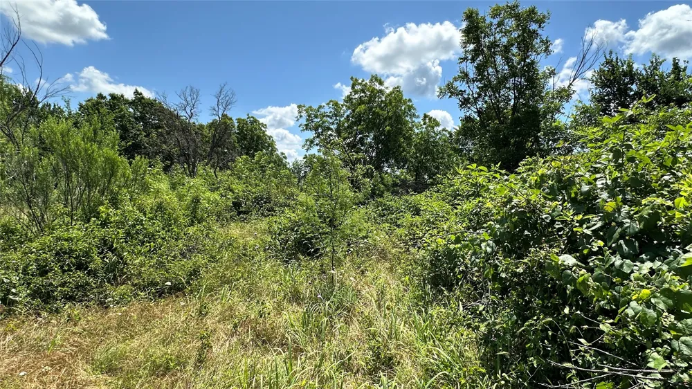 County Road 295 Carbon, TX 76435