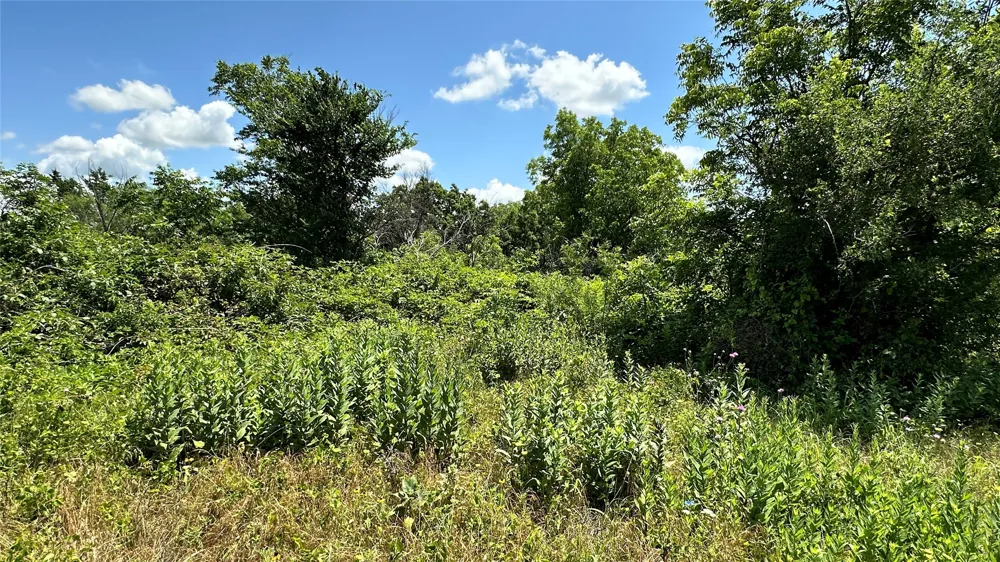 County Road 295 Carbon, TX 76435