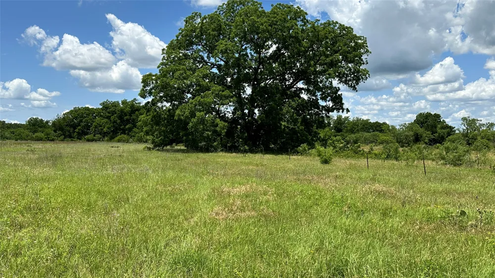 County Road 295 Carbon, TX 76435