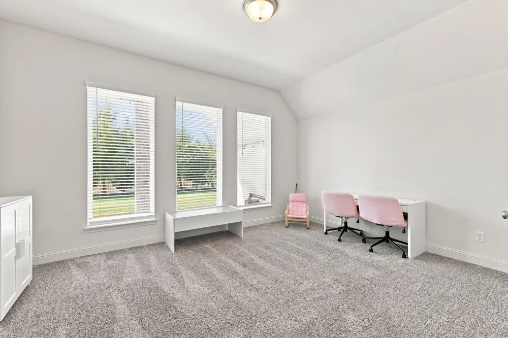 2528 Patton Drive Melissa, TX 75454