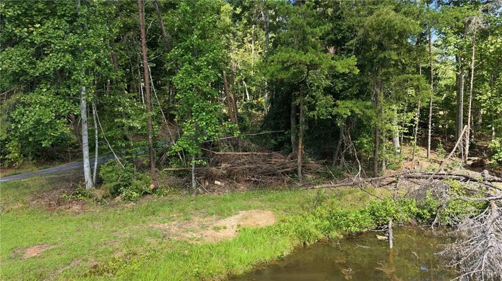 0 Deer Trail Lakes Clarkesville, GA 30523