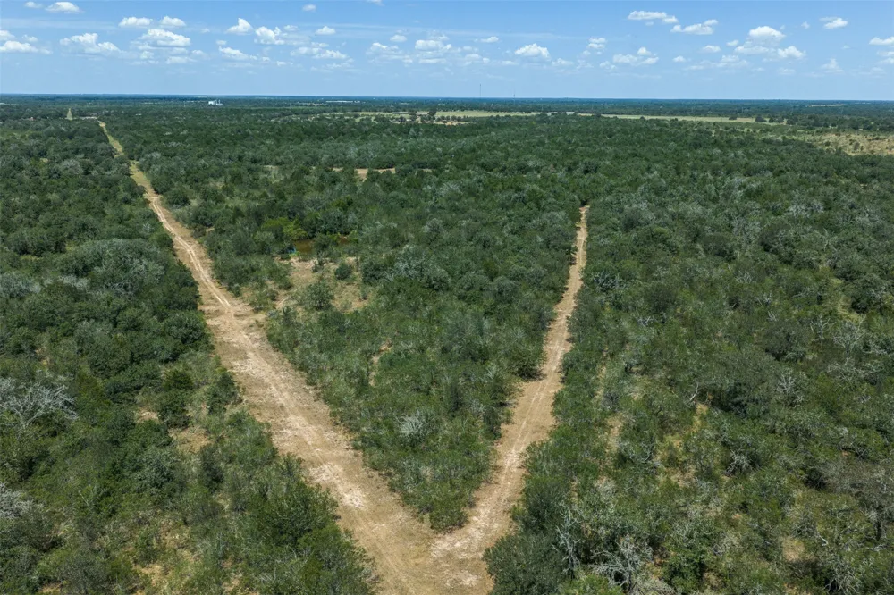 4242 FM 1680 Waelder, TX 78959