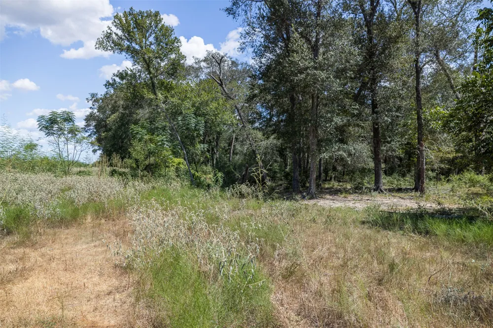 4242 FM 1680 Waelder, TX 78959