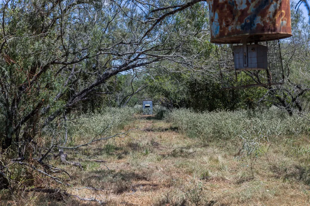 4242 FM 1680 Waelder, TX 78959
