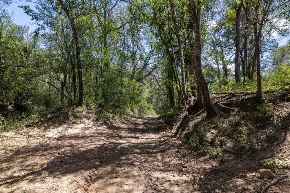 4242 FM 1680 Waelder, TX 78959