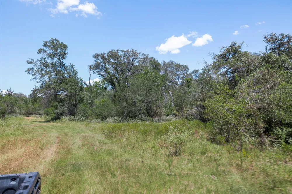 4242 FM 1680 Waelder, TX 78959