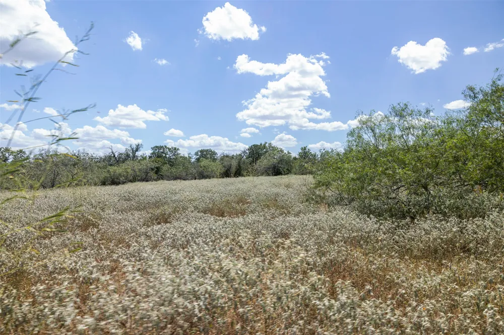 4242 FM 1680 Waelder, TX 78959