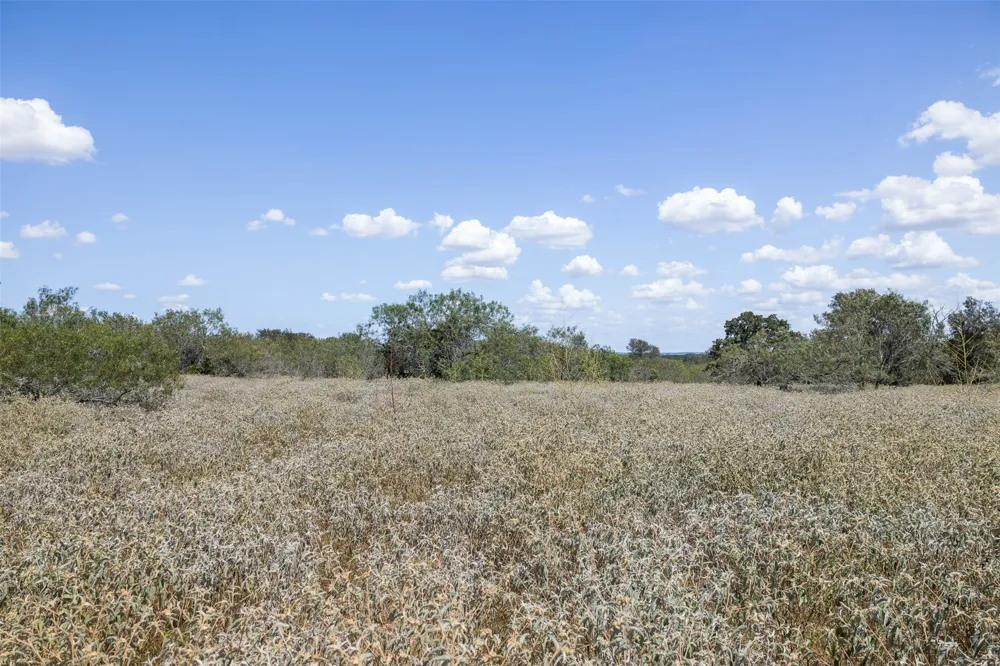 4242 FM 1680 Waelder, TX 78959