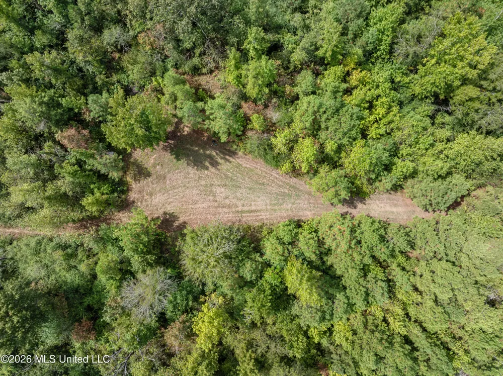 1631 NW Fairman Lane Brookhaven, MS 39601