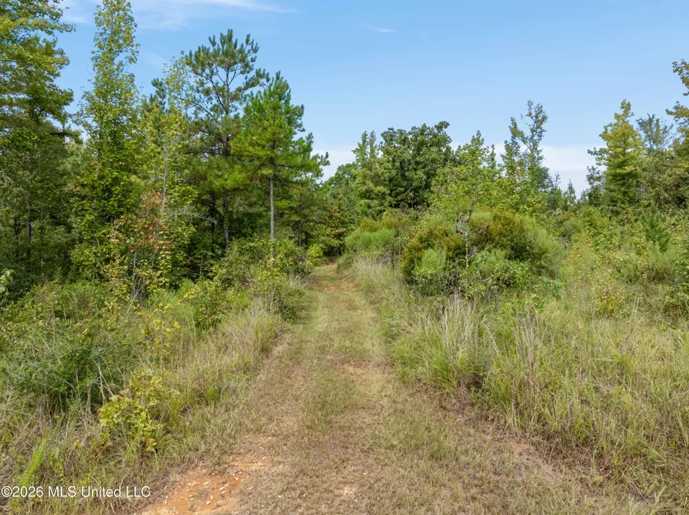 1631 NW Fairman Lane Brookhaven, MS 39601