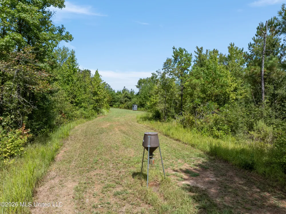 1631 NW Fairman Lane Brookhaven, MS 39601