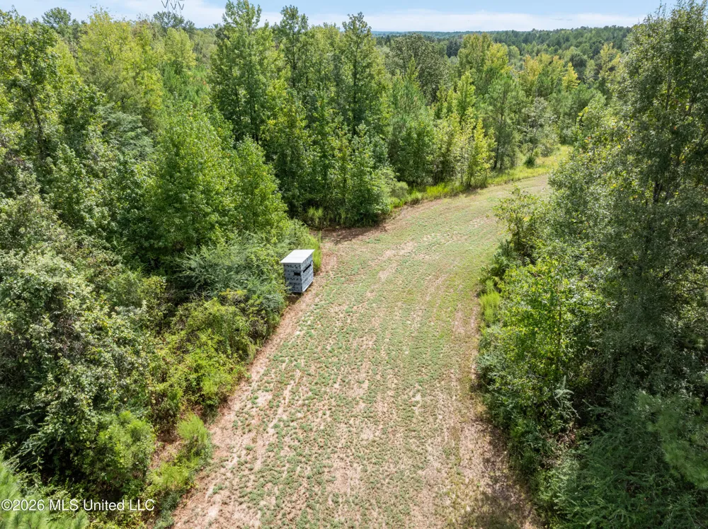 1631 NW Fairman Lane Brookhaven, MS 39601