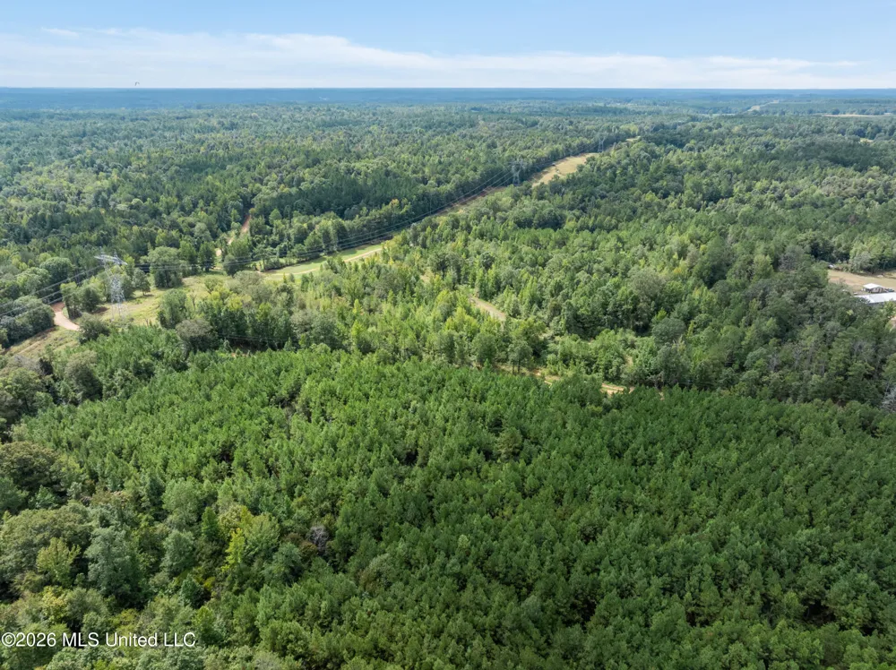 1631 NW Fairman Lane Brookhaven, MS 39601