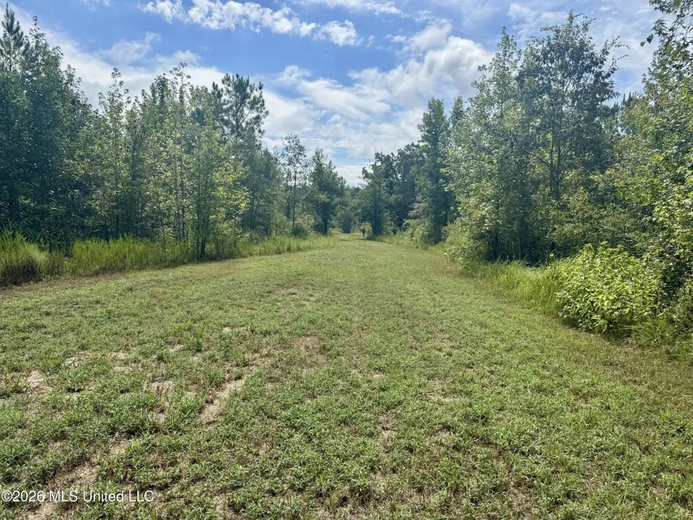1631 NW Fairman Lane Brookhaven, MS 39601