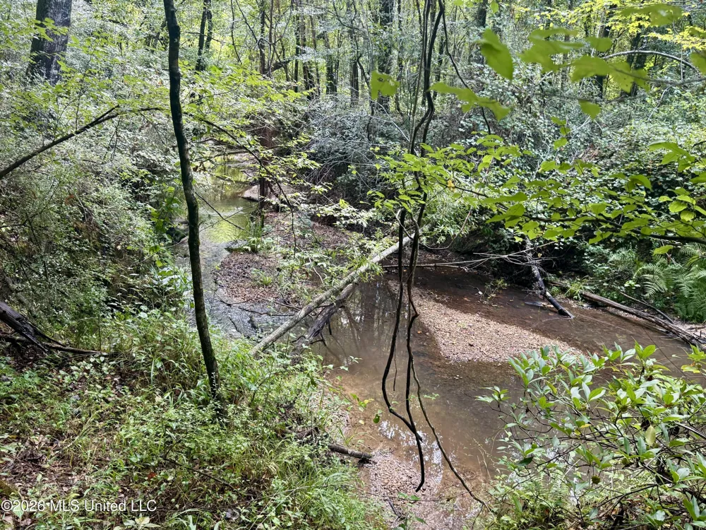 1631 NW Fairman Lane Brookhaven, MS 39601