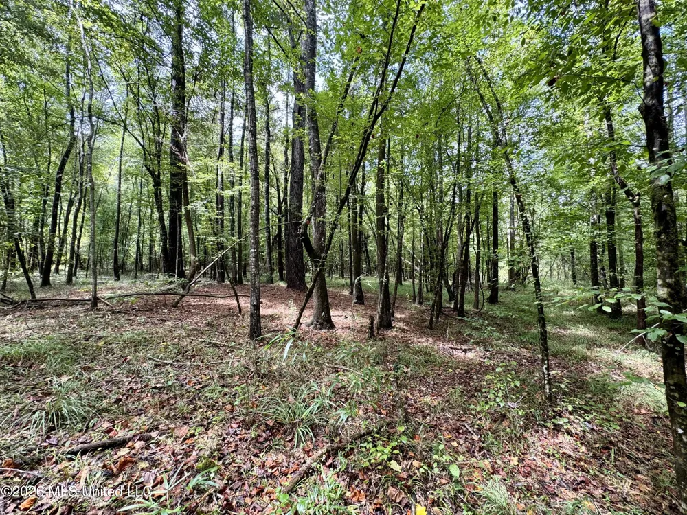 1631 NW Fairman Lane Brookhaven, MS 39601