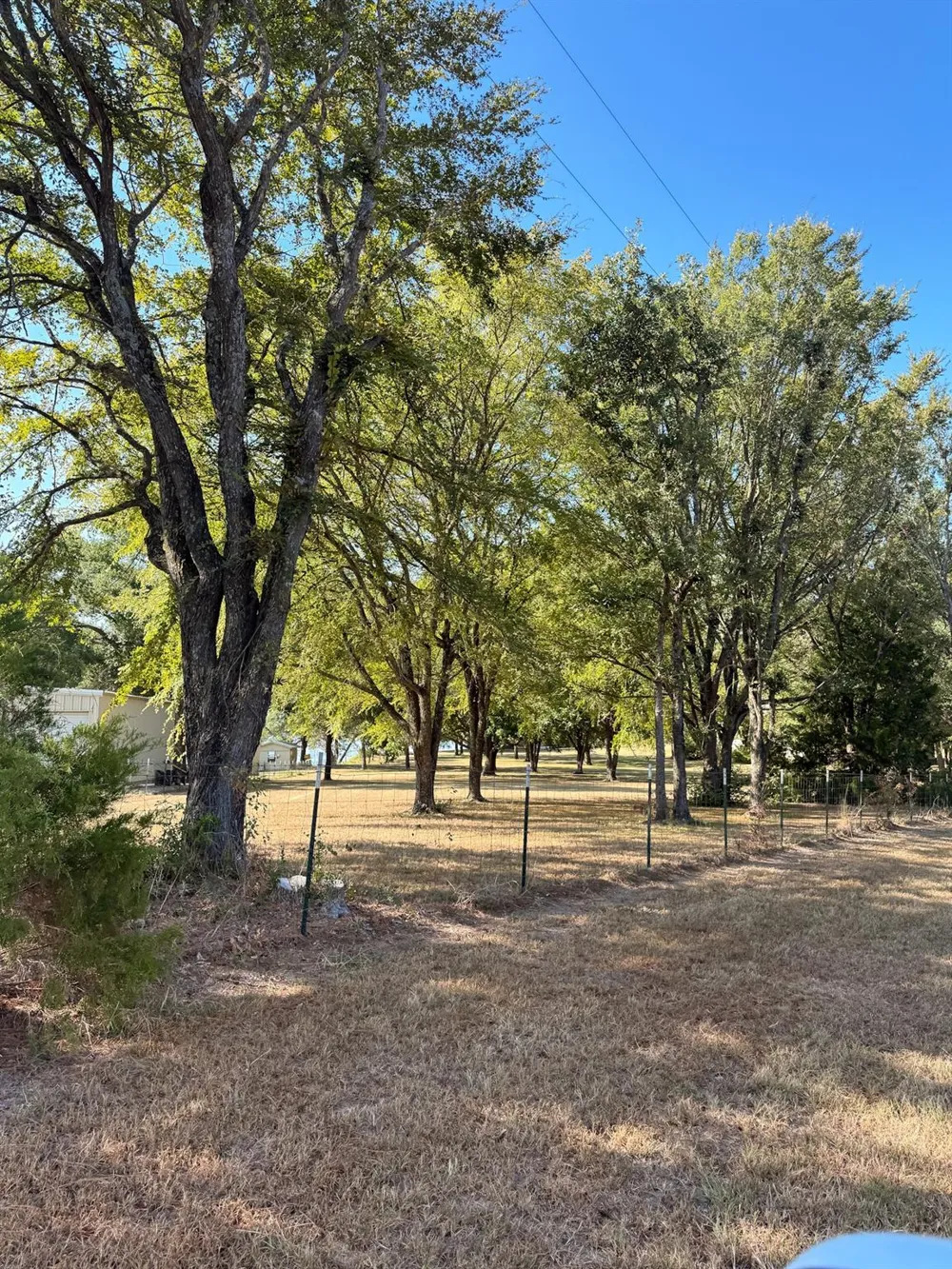 749 Private Road 5825 Groesbeck, TX 76642