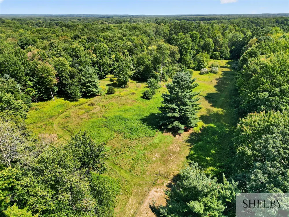 14200 Sparta Avenue Tyrone Township, MI 49330