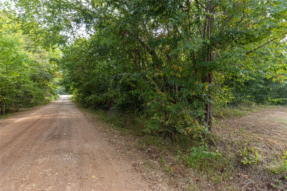 185 Hackberry Bullard, TX 75757