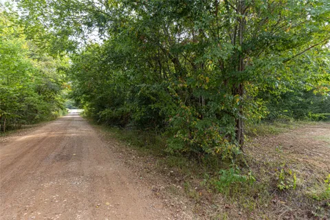 185 Hackberry