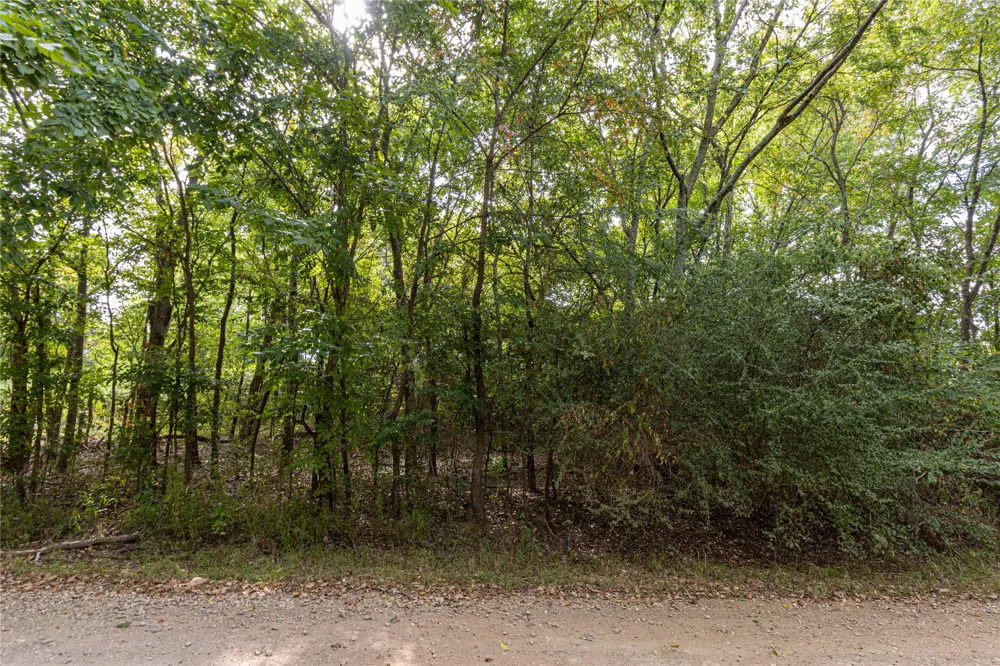 185 Hackberry Bullard, TX 75757