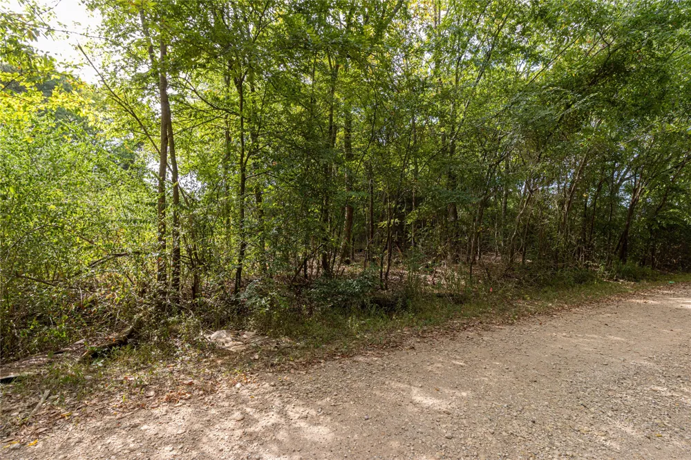 185 Hackberry Bullard, TX 75757