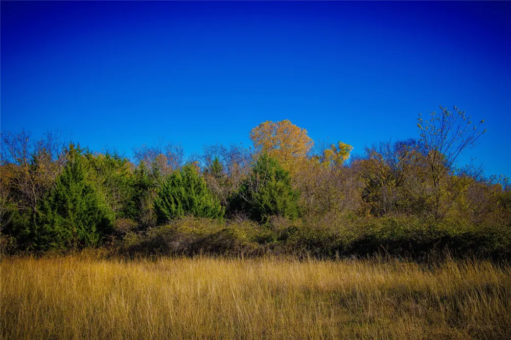 Lazy E Rd St Jo, TX 76265