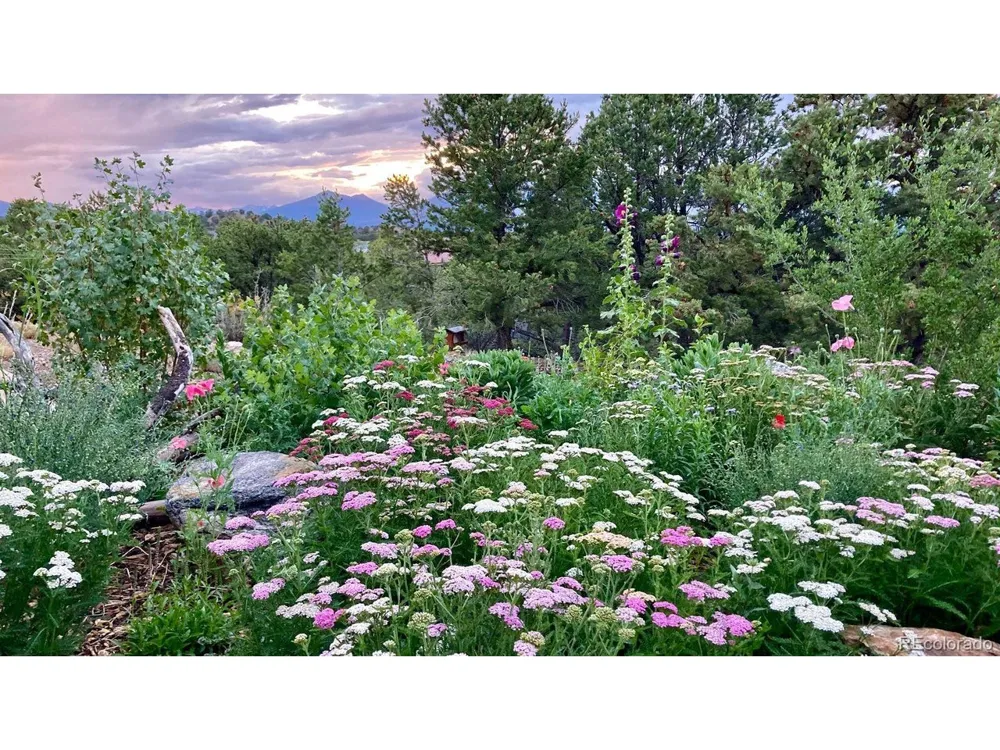 6396 Terrace Lane Salida, CO 81201