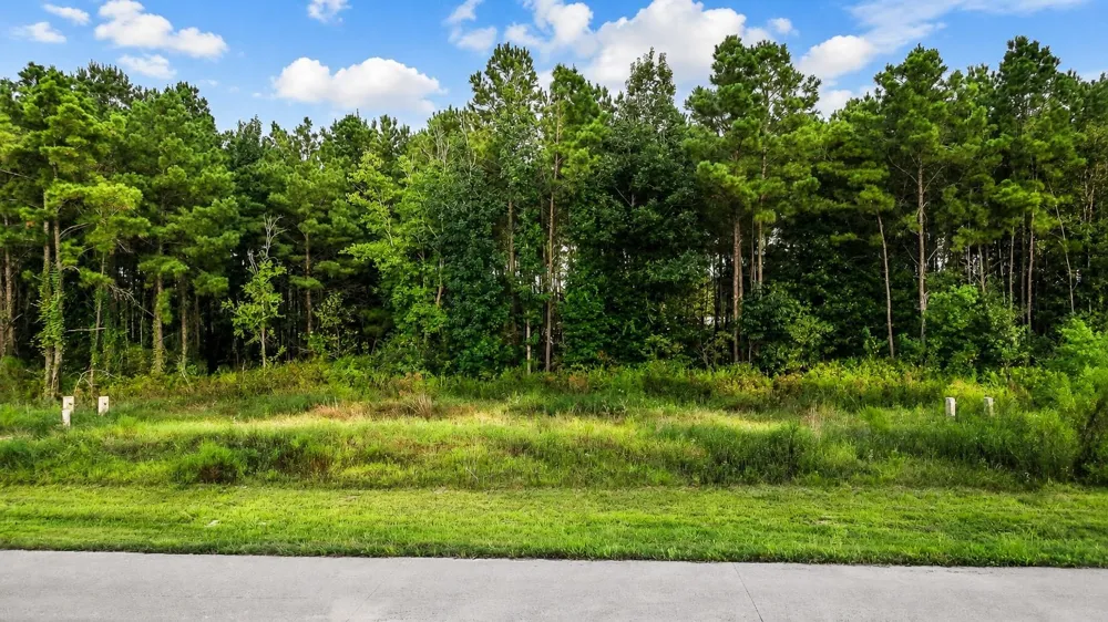9024 Road 5503 Cleveland, TX 77327