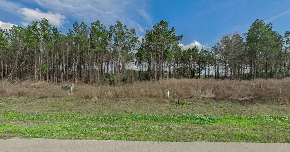 9028 Road 5503 Cleveland, TX 77327