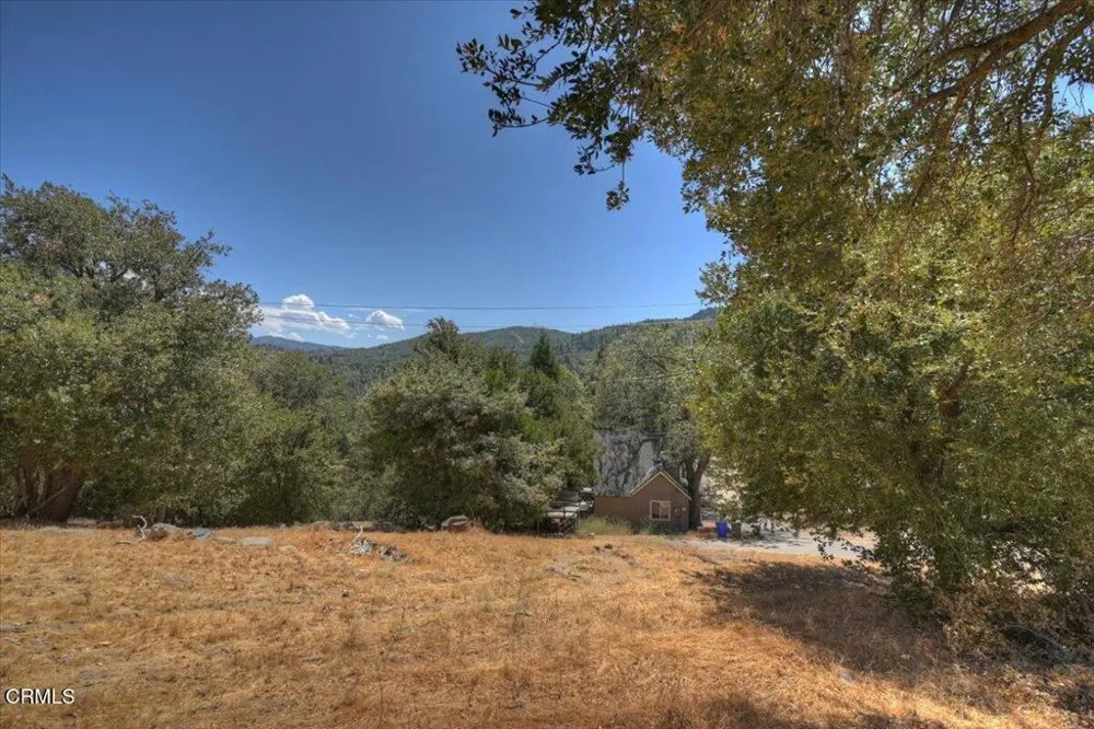196 Balsam Dr Cedar Glen, CA 92321
