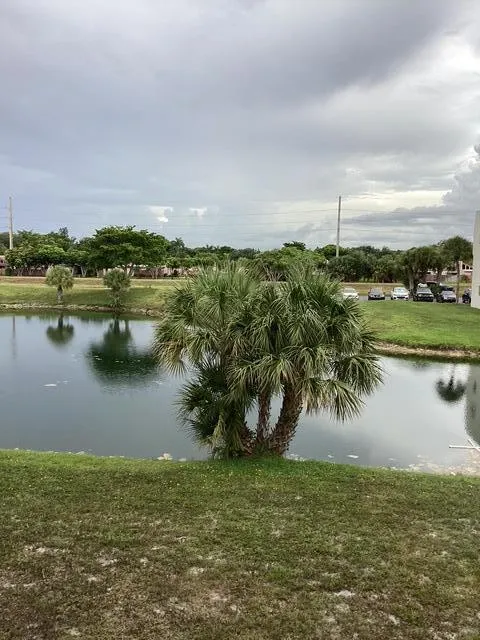 8300 SUNRISE LAKES BOULEVARD #206 Sunrise, FL 33322