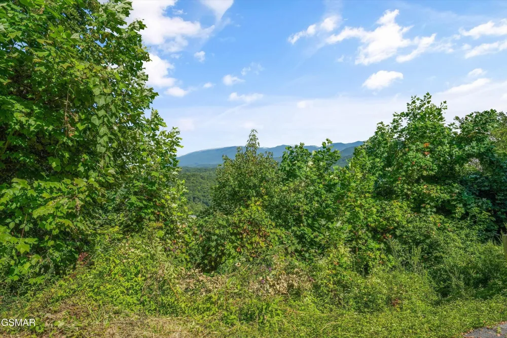 616 Kings Way Gatlinburg, TN 37738