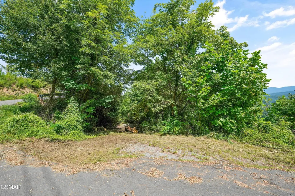 616 Kings Way Gatlinburg, TN 37738