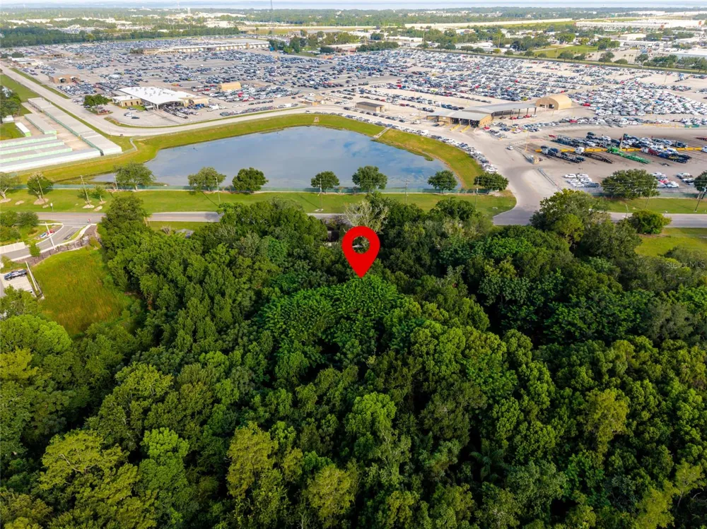923 MARSHALL FARMS ROAD Ocoee, FL 34761