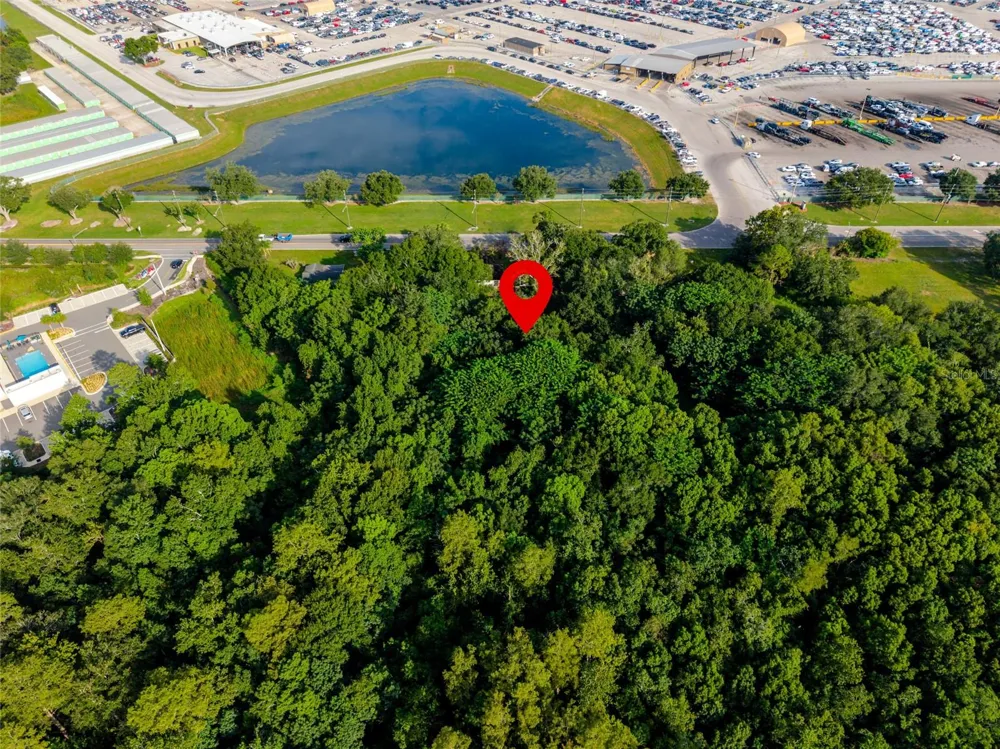 923 MARSHALL FARMS ROAD Ocoee, FL 34761