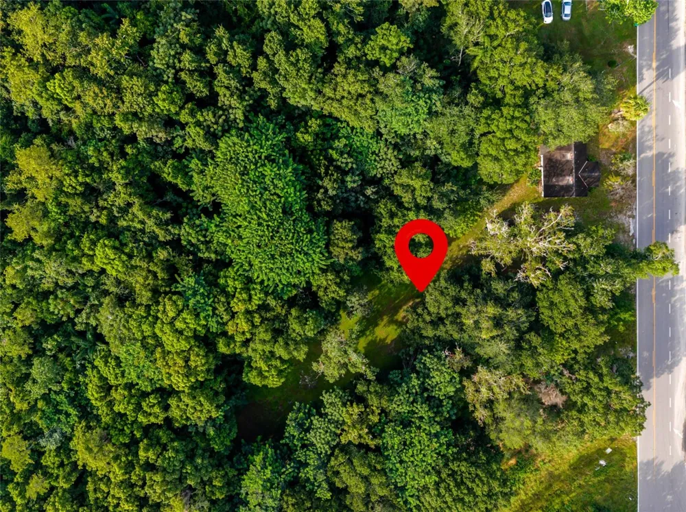 923 MARSHALL FARMS ROAD Ocoee, FL 34761