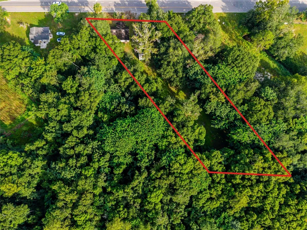 923 MARSHALL FARMS ROAD Ocoee, FL 34761
