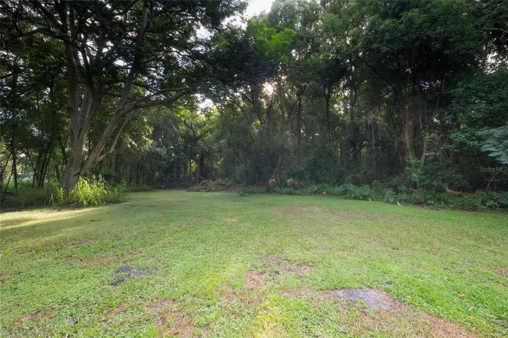 923 MARSHALL FARMS ROAD Ocoee, FL 34761