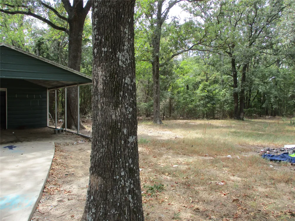2379 FM 515 Emory, TX 75440