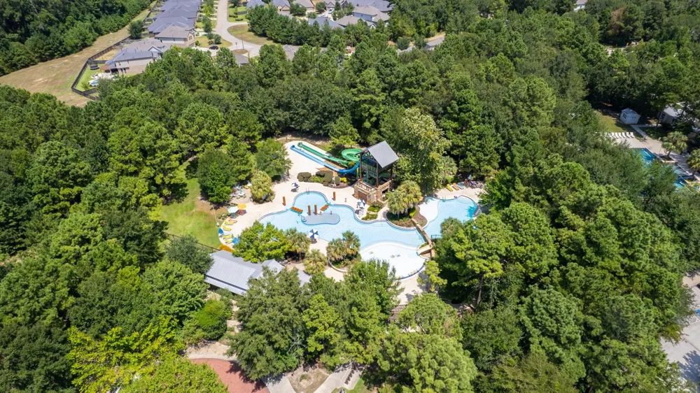 223 S Empress Green Place Montgomery, TX 77316